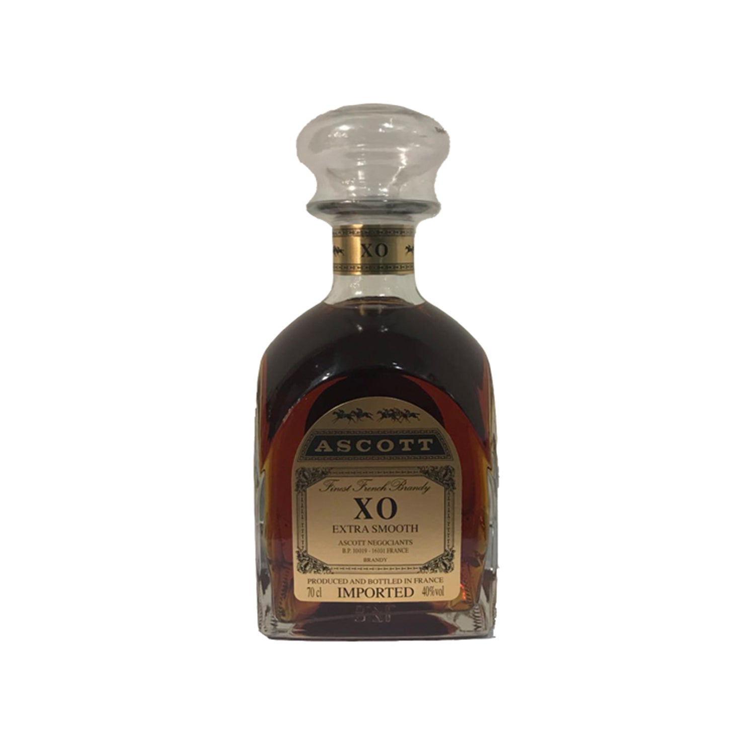 ASCOTT X.O. – Co-Ho Imports